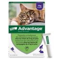 Advantage 80 anti-puces pour chats & lapins de plus de 4 kg (4 x 0,8 ml)