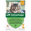 Advantage 40 anti-puces pour chats & lapins de 0 à 4 kg (4 x 0,4 ml)