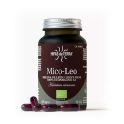 Hifas da Terra Mico-Leo (70 gélules)