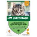 Advantage 40 anti-puces pour chats & lapins de 0 à 4 kg (6 x 0,4 ml)