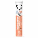 Panda Tea Pastilles Hydratation & Énergie Pêche (20 pastilles)