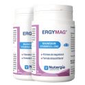 Nutergia Ergymag Magnésium Vitamines B & Zinc (Offre Éco 2x 90 gélules)