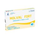 Dielen Molval Fort levure de riz rouge, oméga-3, coenzyme Q10 santé cardiovasculaire (90 capsules)