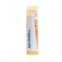 Boiron Apis Mellifica Tube 15 Ch / Dose