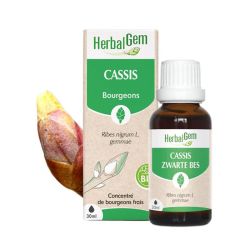Herbalgem Macérat-Mère Cassis Bio 30Ml