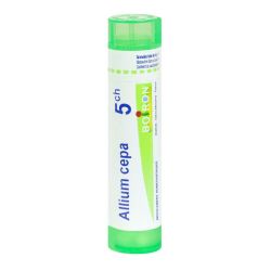 Allium Cepa 5Ch Tu Gr.