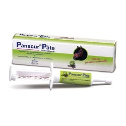 Panacur Pâte Orale Vermifuge cheval Seringue 24G