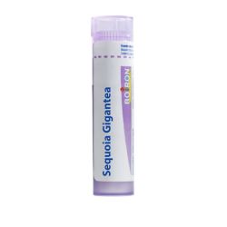 Boiron Sequoia Gigantea Tube 30 Ch (4 g)
