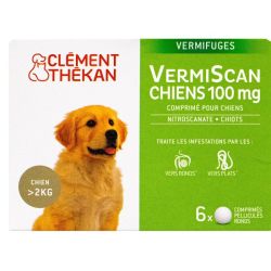 Vermiscan 100Mg Cpr B/4