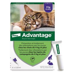 Advantage 80 Pipette 0,8 ml Anti-puces Chats et Lapins 4 kg et plus (x4)