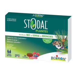Stodal Plantes Pastilles nez & gorge & bronches goût fruits rouges sans sucres (36 pastilles)