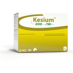 Kesium Chien Cpr Croq 250Mg 240