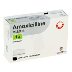 Amoxicilline 1G Comprimés Dispersibles x6