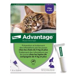 Advantage 80 anti-puces pour chats & lapins de plus de 4 kg (6 x 0,8 ml)
