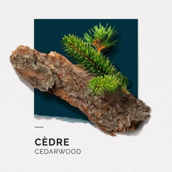 Solinotes Coffret Duo Incontournable Eau De Parfum Cèdre (50 ml + 15 ml)