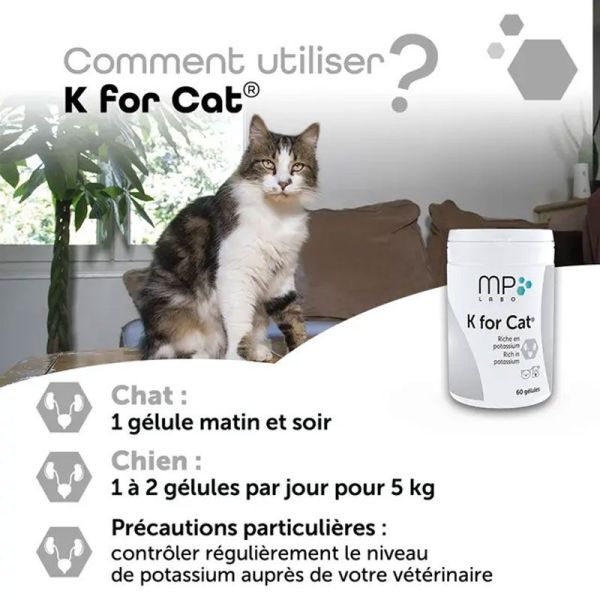 MP Labo K for Cat (60 gélules)