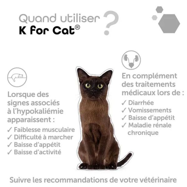 MP Labo K for Cat (60 gélules)