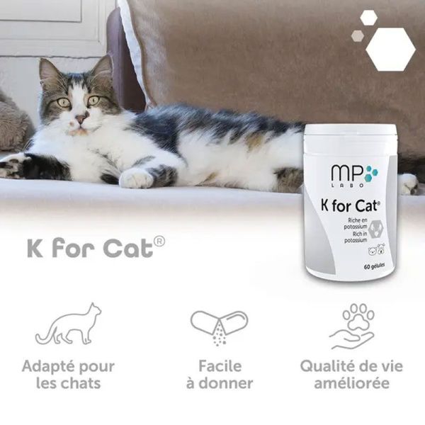 MP Labo K for Cat (60 gélules)