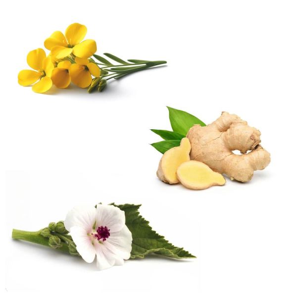 3CPharma Efirub Gommes Gorge Irritée Citron-Menthol (x24)