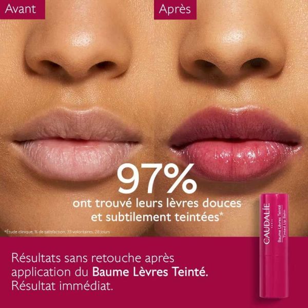 Caudalie Vinotherapist Baume Lèvres & Joues Teinté framboise (4,5 g)