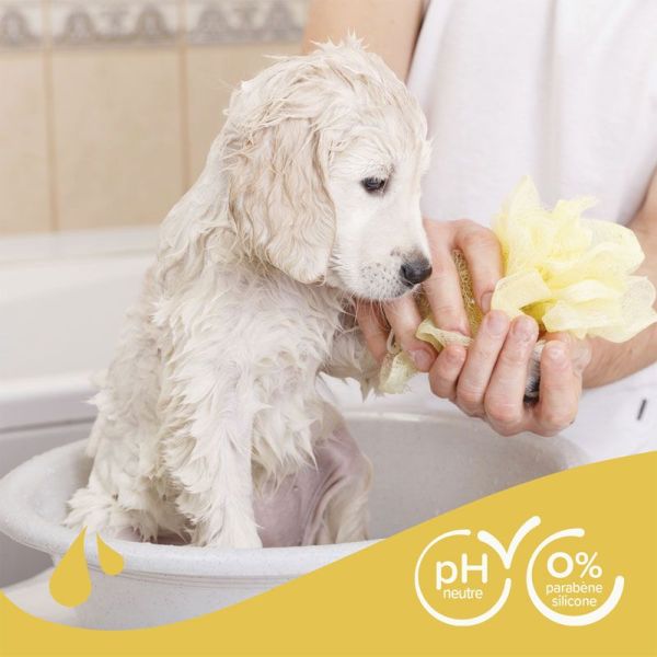 Beaphar Essentiel Shampoing pour chiots camomille et aloe vera (250 ml)