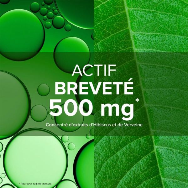 Arkopharma Expert Minceur (270 g)