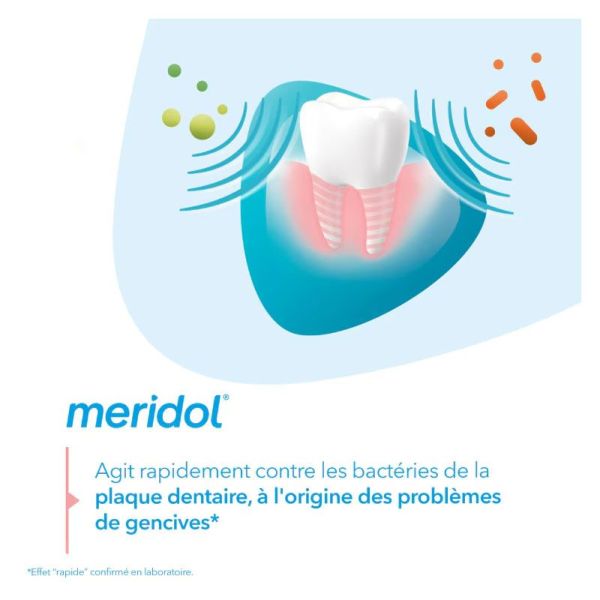 Meridol Dentifrice Protection des Gencives (2 x 75 ml)