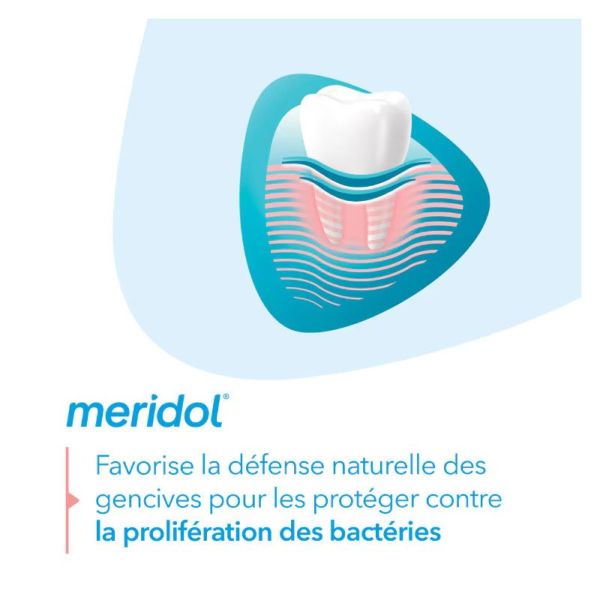 Meridol Dentifrice Protection des Gencives (2 x 75 ml)