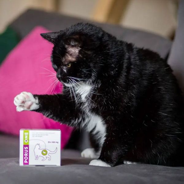 Porus One pour les reins des chats (30 x 500 mg)
