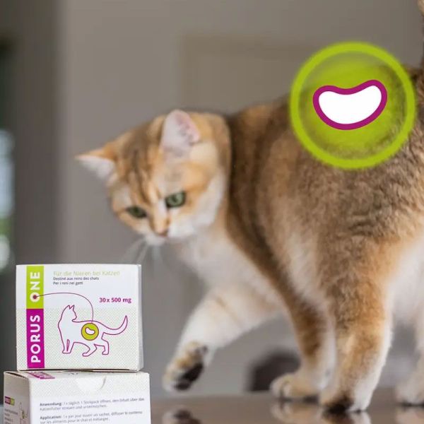 Porus One pour les reins des chats (30 x 500 mg)