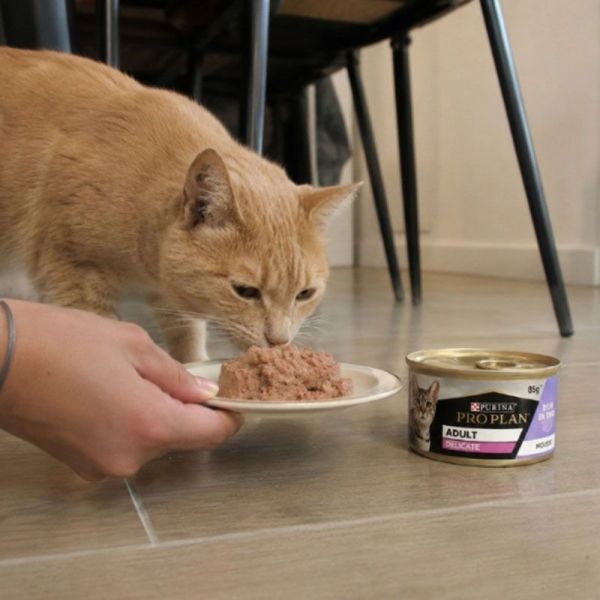 Pro Plan Adult Delicate mousse riche en dinde pour chats (24 x 85 g)