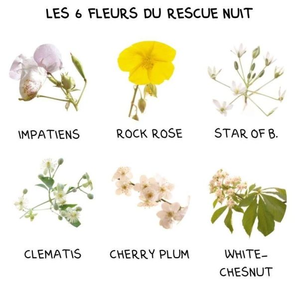 Bach Rescue Nuit Kids Framboise apaisant, sommeil paisible (10 ml)
