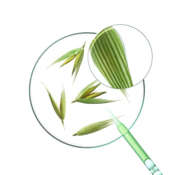 Klorane Après-Shampoing Extra-Doux à l'Avoine médicinale bio (50 ml)