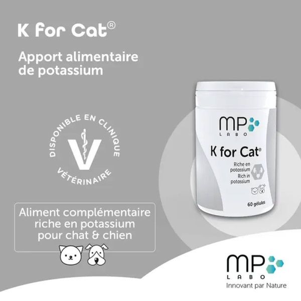 MP Labo K for Cat (60 gélules)