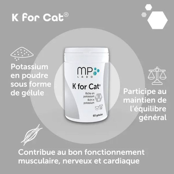 MP Labo K for Cat (60 gélules)