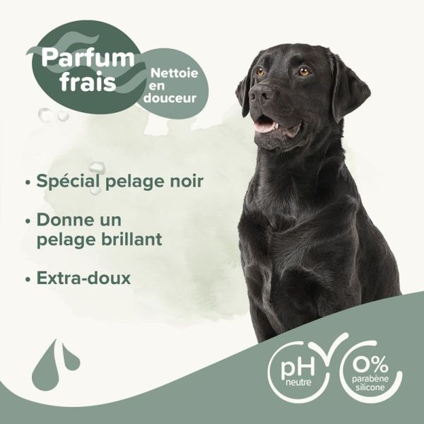Beaphar Essentiel Shampoing extra-doux pour chiens au pelage noir ou sombre (250 ml)