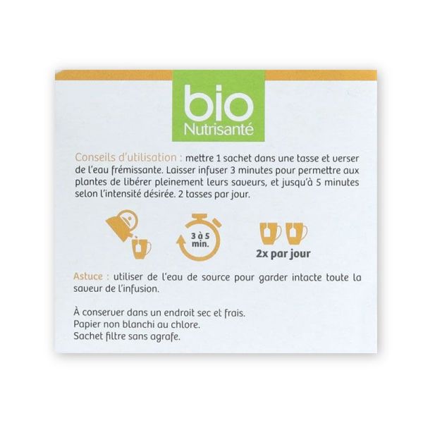 Bionutrisante Infusion Bio Pumpkin Chaï édition limitée (20 sachets)