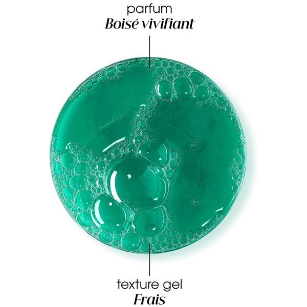 Klorane Antipelliculaire Shampoing Traitant et Rééquilibrant au Galanga (200 ml)