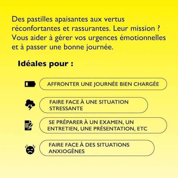 Bach Rescue pastilles saveur fruits rouges bien-être émotionnel & sérénité (50 g)