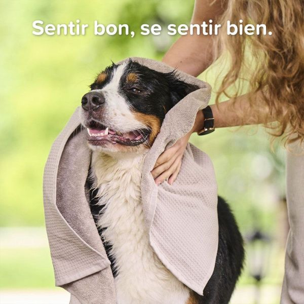 Beaphar Essentiel Shampoing universel pour Chiens (250 ml)