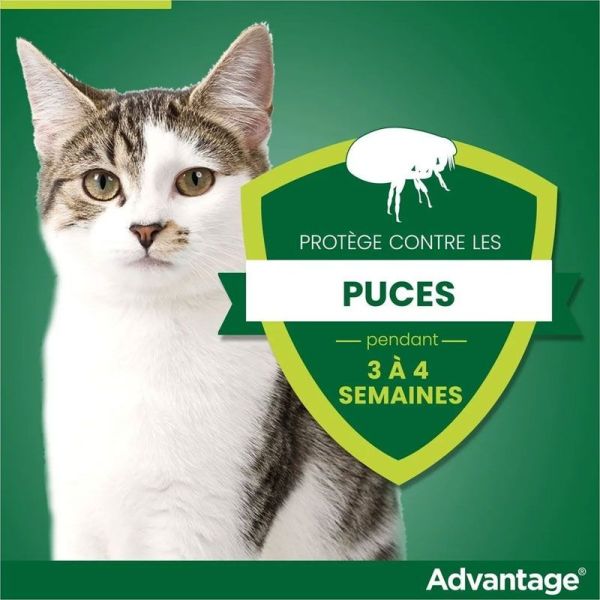Advantage 40 anti-puces pour chats & lapins de 0 à 4 kg (6 x 0,4 ml)