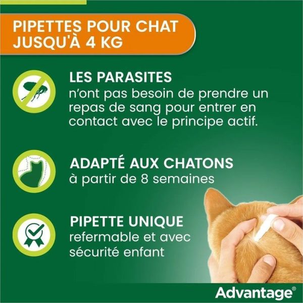 Advantage 40 anti-puces pour chats & lapins de 0 à 4 kg (6 x 0,4 ml)