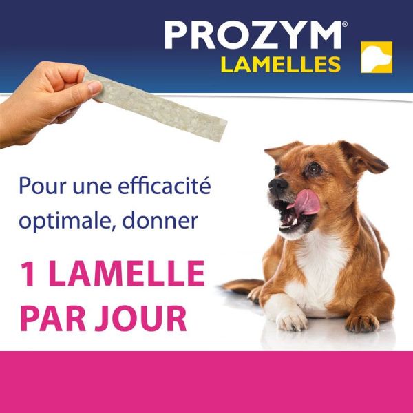 Prozym Lamelles à mâcher taille M (15 lamelles)