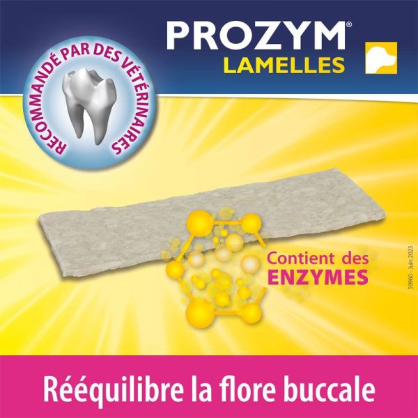 Prozym Lamelles à mâcher taille S (15 lamelles)