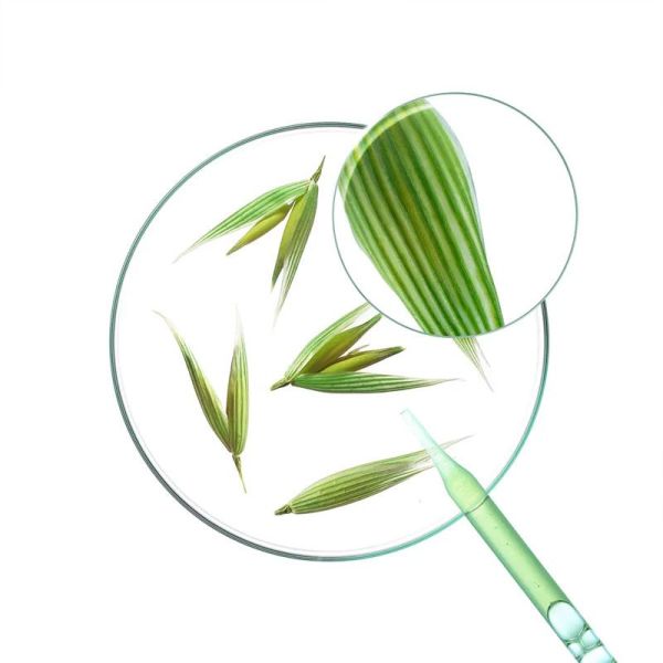 Klorane Shampoing solide extra-doux à l'Avoine (80 g)