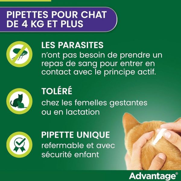 Advantage 80 Pipette 0,8 ml Anti-puces Chats et Lapins 4 kg et plus (x4)