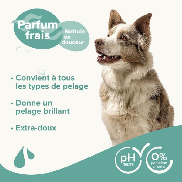 Beaphar Essentiel Shampoing universel pour Chiens (250 ml)