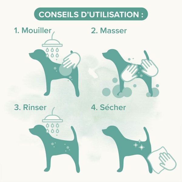 Beaphar Essentiel Shampoing universel pour Chiens (250 ml)