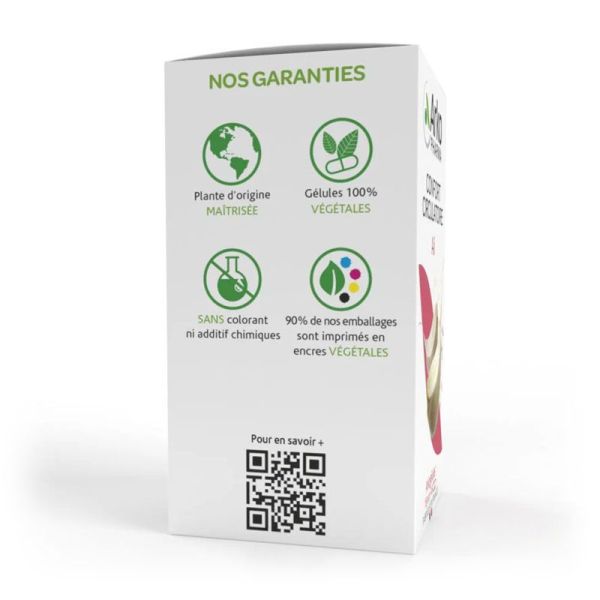 Arkopharma Arkogélules Ail confort circulatoire (45 gélules)