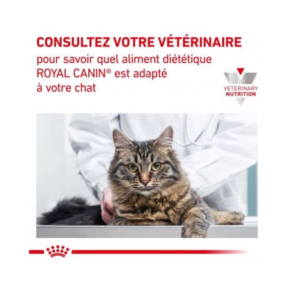 Veterinary Diet Renal pâtée pour chat au poulet (12 x 85 g)
